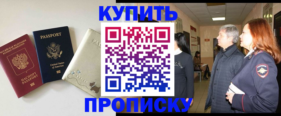 где прописаться в Камышине
